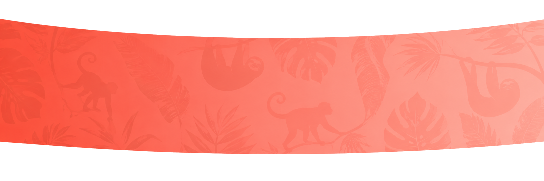 Costa Rica Banner